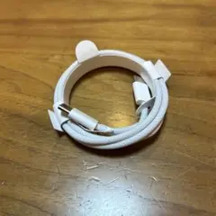 Apple 60W USB-C充電ケーブル（1m）