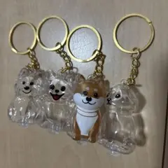 うちの子けだまだま　けだま　犬　柴犬　シバイヌ　ポメ　ビション　マルチーズ　4点