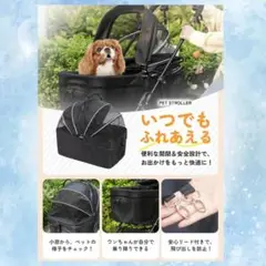 Item thumbnail for item 63216ab3-f73f-455d-b910-de2d6b871157