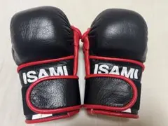 2025年最新】ISAMI パウンドグローブの人気アイテム - メルカリ
