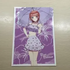 中野二乃 5等分の花嫁 アニメイト 特典