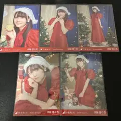 乃木坂 伊藤理々杏 クリスマス2024 個別 5枚セット 生写真