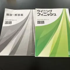 ウィニングフィニッシュ 国語 中学3年間の総まとめ