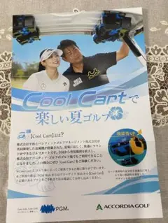 平和 PGM ゴルフ 株主優待 ８枚+ Cool Cart クールカート 2枚