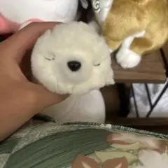 アザラシ人形