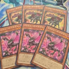 遊戯王セット