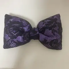 Item thumbnail for item cd650473-afd9-4242-b6a0-f17124394078