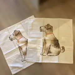 Item thumbnail for item cab033c7-8ee4-477d-9a59-b5486c6fb124