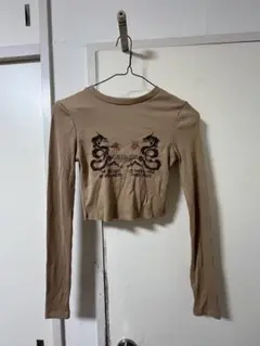 Bershka ドラゴン刺繍 クロップドTシャツ ブラウン