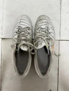 DS LIGHT X-FLY PRO 2