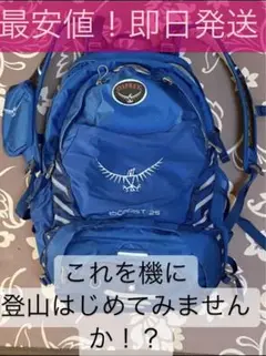 登山用品 登山リュック OSPREY ESCAPIST 25