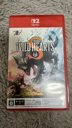 WILD HEARTS S ワイルドハーツ Switch2