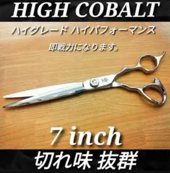 Item thumbnail for item 9db748da-2660-4cf2-ab40-88138a04a2fe