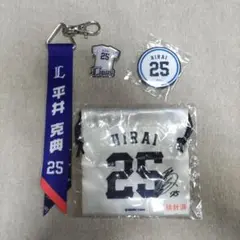 Item thumbnail for item d1784f8a-be29-4f7b-967f-b799af527094