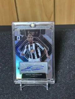 22-23 PANINI TREZEGUET トレゼゲ 直筆サイン 299シリ 22-23 PANINI TREZEGUET トレゼゲ 直筆サイン 299シリ - メルカリ