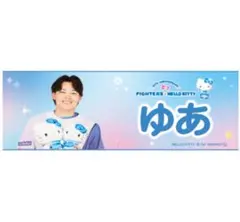 田宮裕涼 キティ タオル かわいいシリーズ