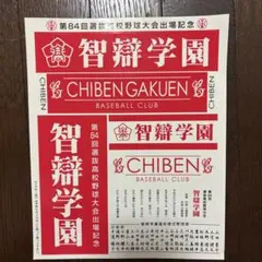 智辯学園　Vジャン　ジャンパー　グッズ 2025年最新】智辯の人気アイテム - メルカリ
