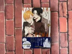 理想的恋愛の条件 3 特装版 ⚠️小冊子無し