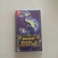 ポケットモンスター　バイオレット　Nintendo Switch