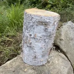 Item thumbnail for item 98f591df-0f3f-4b18-abdc-782cce36559b