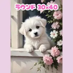No.1206 ダイヤモンドアートキット ラウンド 犬