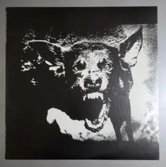 THE EXECUTE/AN OMEN OF FEAR EP レコード 2025年最新】the executeの人気アイテム - メルカリ