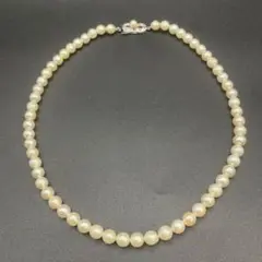 アコヤパール ネックレス 6.0mm~6.5mm シルバー金具
