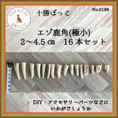エゾ鹿角（極小）16本セット 2〜4.5cm　No.0186