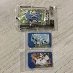 ポケモンフレンダ メタグロス あたりキャンペーン GiGo限定　ベストタッグ