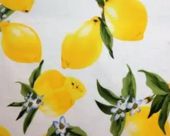 7/31限りSALE レモン　布　生地　140cm×30cm 綿　シーチング