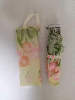 Item thumbnail for item 6d1c32c6-92ae-4354-89a9-9de1670d0823