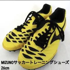 ⭐️お盆セール⭐️ミズノ フットサルシューズ トレーニングシューズ 26サイズ
