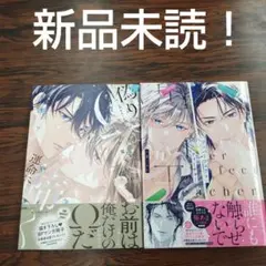 BL新刊新品未読！アンパーフェクト・ティーチャー小夏うみれ　偽りΩは運命に啼く②