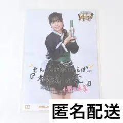 ロージークロニクル　小野田華凛　コレ写　夏の乱　生写真