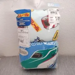 【2枚】〈定価1848円〉 6層トレーニングパンツ 80cm プラレール パンツ