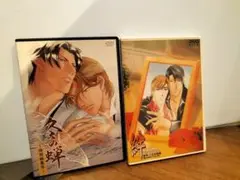 BL ボーイズラブ　冬の華　絆 DVD　2巻セット