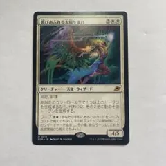 MTG 喜びあふれる太陽生まれ　日本語版　1枚
