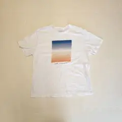 green label relaxing グラデーションTシャツ