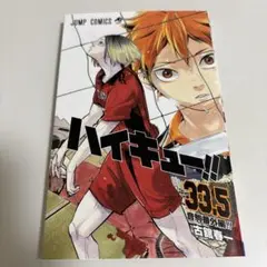 ハイキュー!! 33.5 プレミアム版