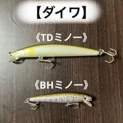 【ダイワ】TDミノー & BHミノー セット