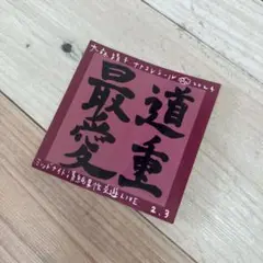 道重さゆみ　大森靖子　ナナコレシール