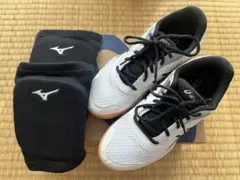 Item thumbnail for item 1b3a28b5-6fc6-4ee9-b850-379753821068