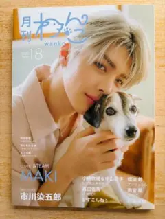 Item thumbnail for item 402fc185-c0eb-46fa-aa19-be4917471776