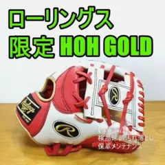 ローリングス HOH GOLD Rawlings 一般用 内野用 軟式グローブ
