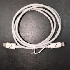 ELECOM　ホワイトLightningケーブル　 USB Type-C