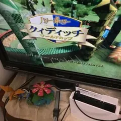 ハリーポッター　クイディッチ ワールドカップ ゲームキューブ　起動確認済み