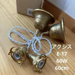 アクシス　引っ掛けシーリング灯具 E-17 60W 60cm