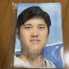 大谷翔平　バスタオル　ECC