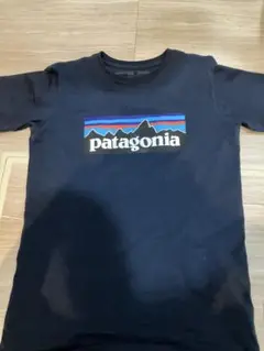 お値下げ　patagonia ネイビー Tシャツ XL(14) パタゴニア