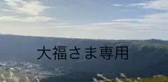 専用です